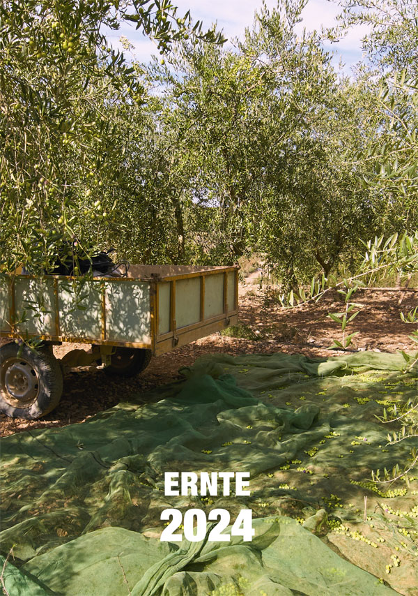 Die Ernte 2023