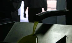 Elaboració
