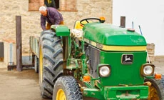 Harvesting and transportation to the mill
