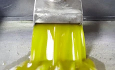 Extraction