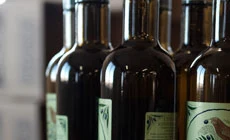 Filtering and bottling
