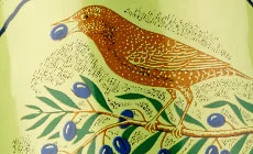 Organic Oil